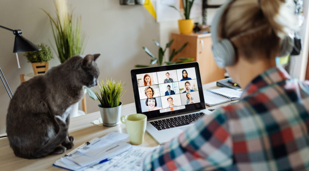 work from home facts